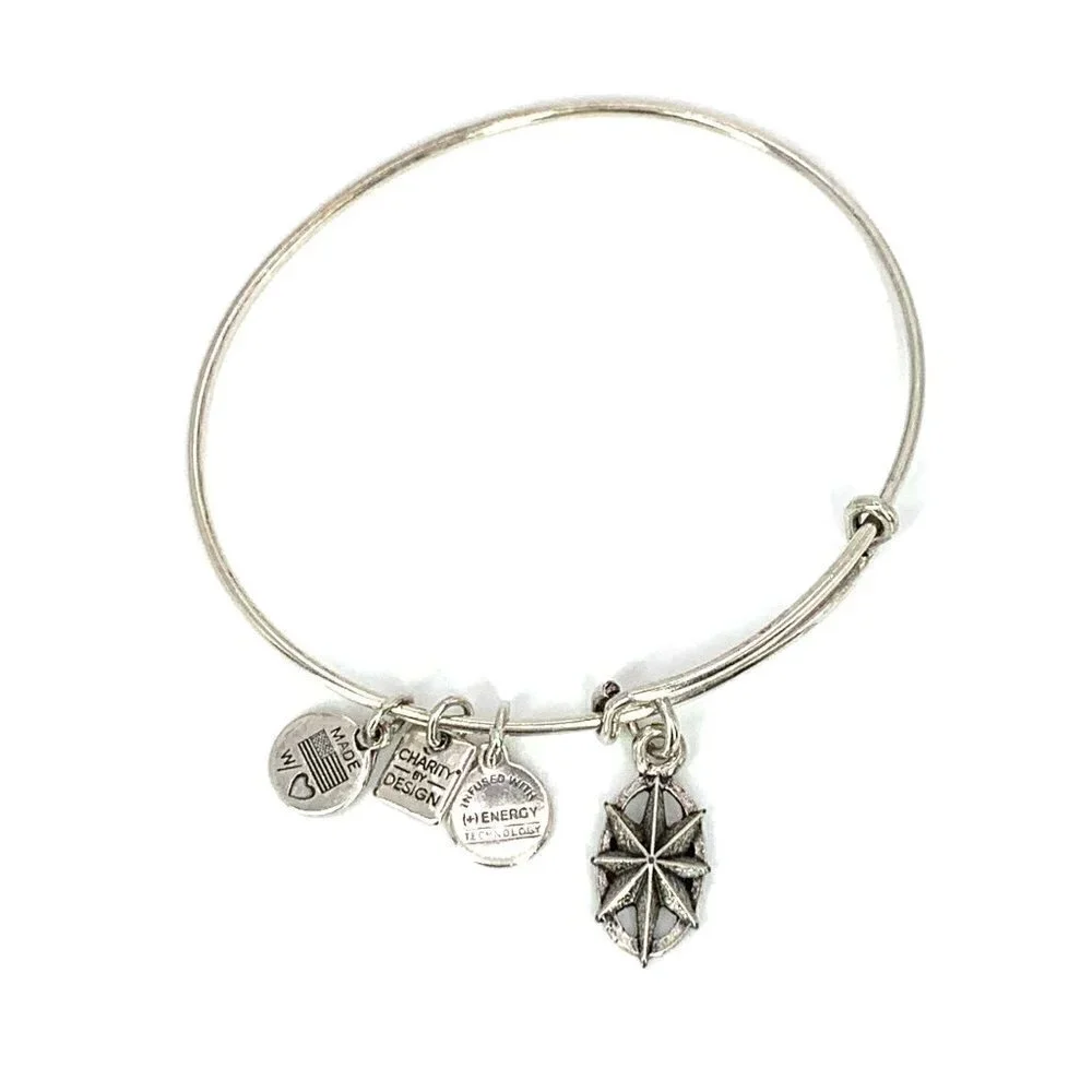 Alex and Ani Compass Charm Bracelet Silver Finish - Expands 2